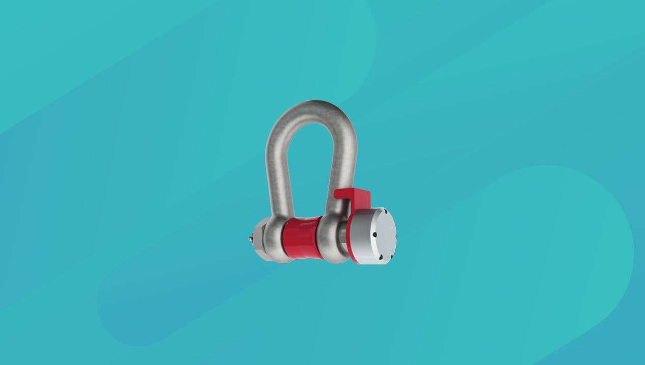 Bild von lastmessschaekel.jpg